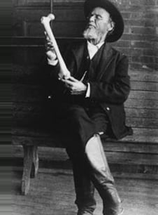 Dr Andrew Taylor Still